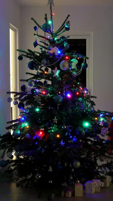 picture5